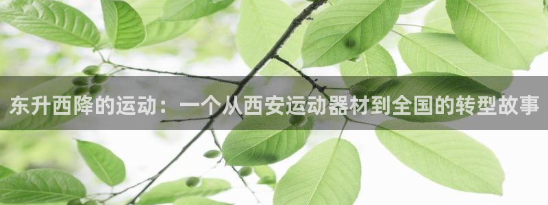 球王会体育官网下载开户：东升西降的运动：一个从西安运