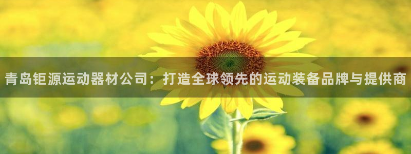 球王会体育官方正版app集团E.ON：青岛钜源运动器