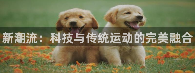 球王会体育官方正版app集团E.ON：新潮流：科技与