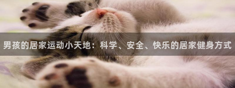 注册球王会体育官方正版app：男孩的居家运动小天地：