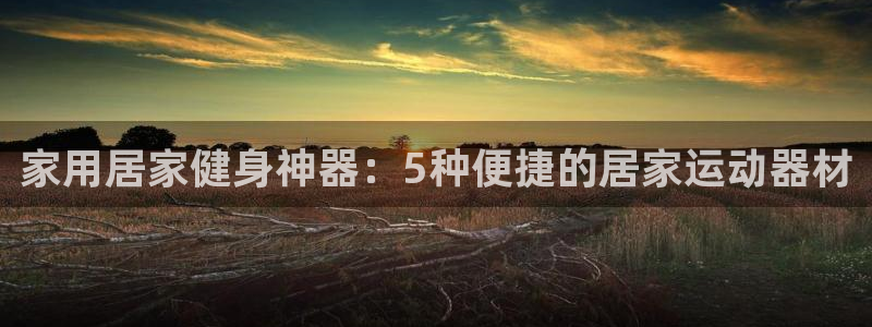 球王会体育官方正版app官网：家用居家健身神器：5种便捷的居