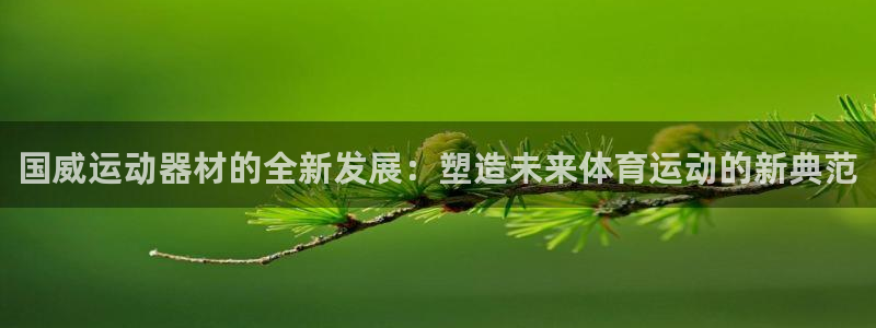 球王会体育官方正版app娱乐：国威运动器材的全新发展：塑造未