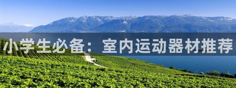 球王会体育官方正版app娱乐代理怎么样：小学生必备：