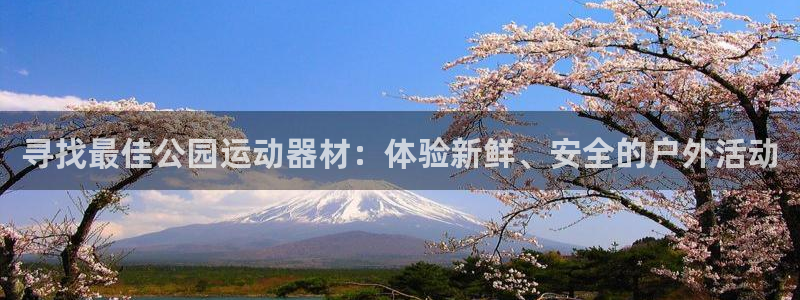 球王会体育官方正版app新能源：寻找最佳公园运动器材：体验新