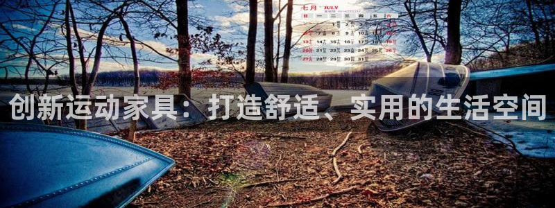 球王会体育官网下载是干嘛的公司：创新运动家具：打造舒适、实用