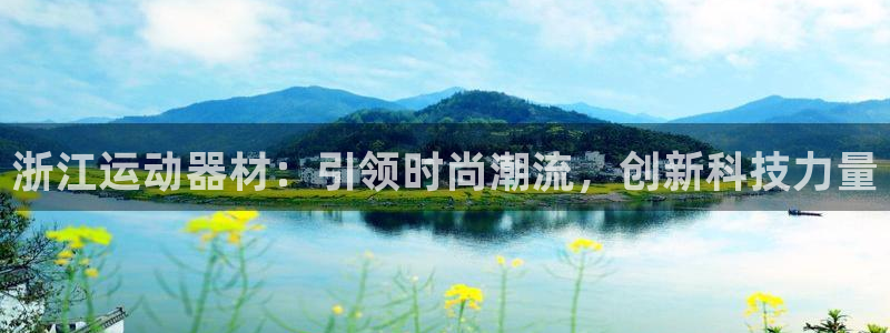 球王会体育官方正版app集团简介