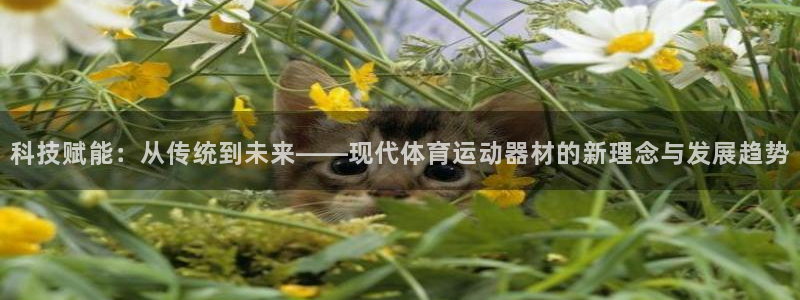 球王会体育官网下载开户：科技赋能：从传统到未来——现代体育运